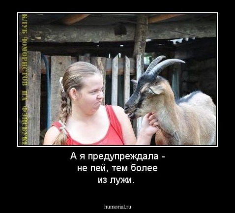 А я предупреждала - не пей, тем более из лужи.