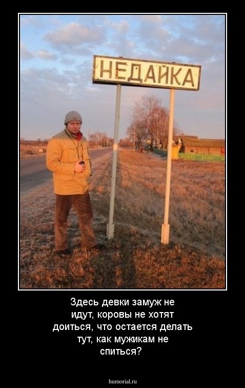 Здесь девки замуж не идут,
коровы не хотят доиться,
что остается делать тут,
как мужикам не спиться?