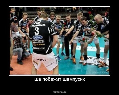 ща побежит шампусик