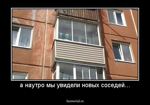 а наутро мы увидели новых соседей...