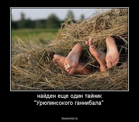 найден еще один тайник "Урюпинсокого ганнибала" 