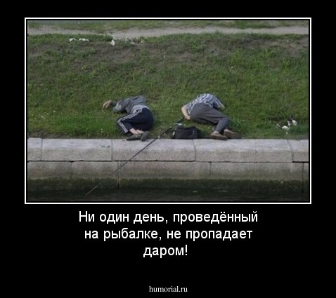 Ни один день, проведённый на рыбалке, не пропадает даром!