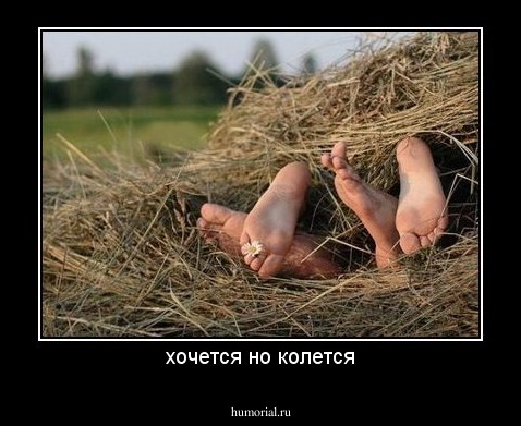 хочется но колется