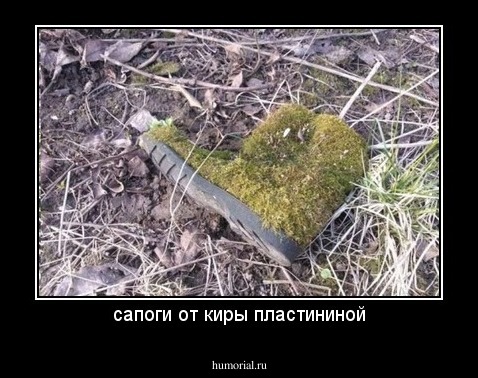 сапоги от киры пластининой