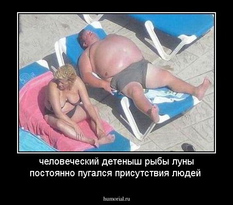 человеческий детеныш рыбы луны постоянно пугался присутствия людей