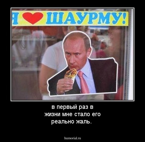 в первый раз в жизни мне стало его реально жаль.