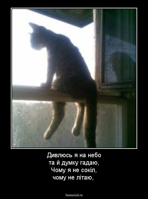 Дивлюсь я на небо та й думку гадаю,
Чому я не сокіл, чому не літаю,