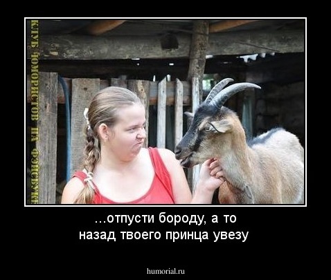 ...отпусти бороду, а то назад твоего принца увезу