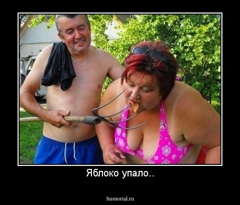 Яблоко упало..