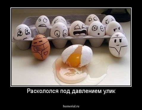 Раскололся под давлением улик