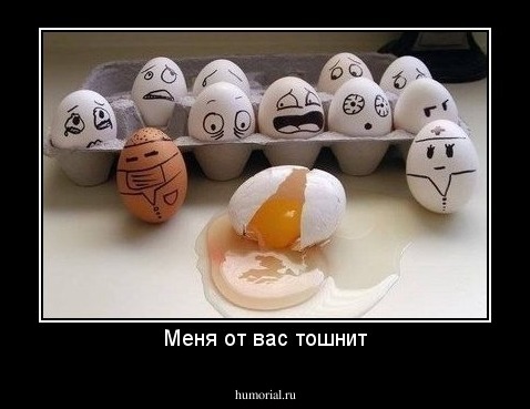 Меня от вас тошнит