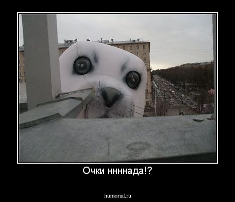 Очки ннннада!?