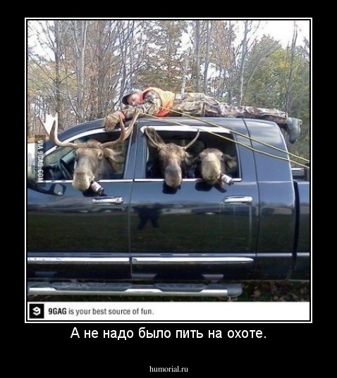 А не надо было пить на охоте.