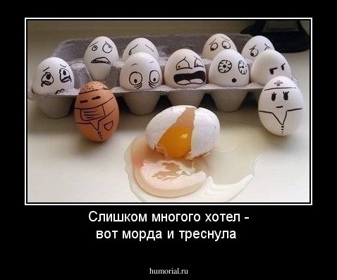 
Слишком многого хотел - вот морда и треснула
