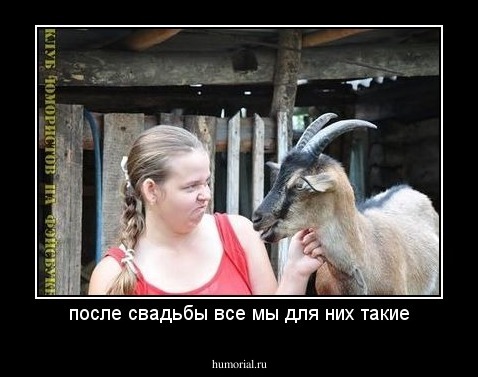 после свадьбы все мы для них такие