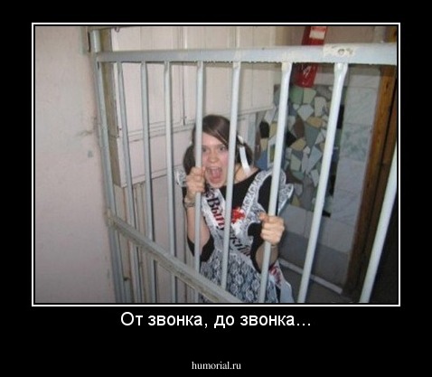 От звонка, до звонка...