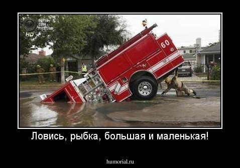Ловись, рыбка, большая и маленькая!