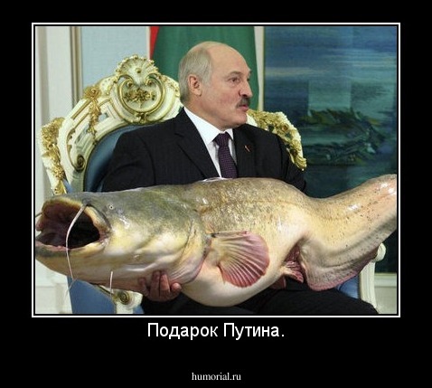Подарок Путина.