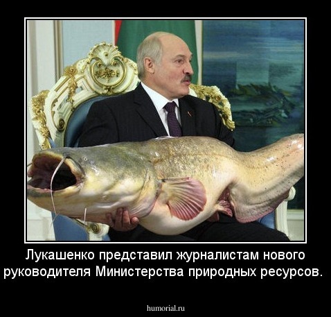 Лукашенко представил журналистам нового руководителя Министерства природных ресурсов.
