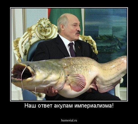 Наш ответ акулам империализма!