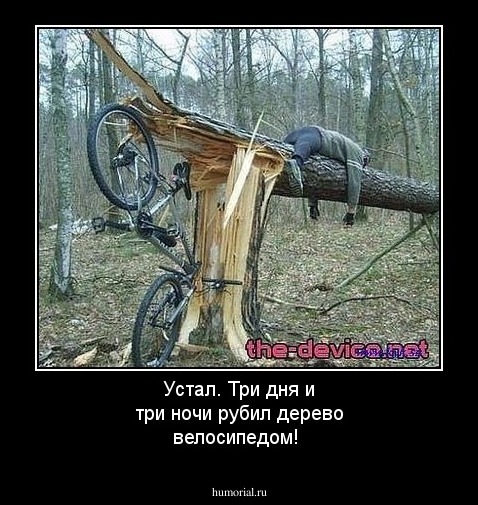 Устал. Три дня и три ночи рубил дерево велосипедом!