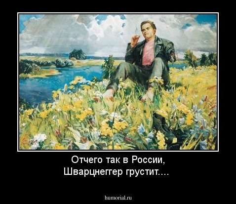 Отчего так в России, Шварцнеггер грустит....