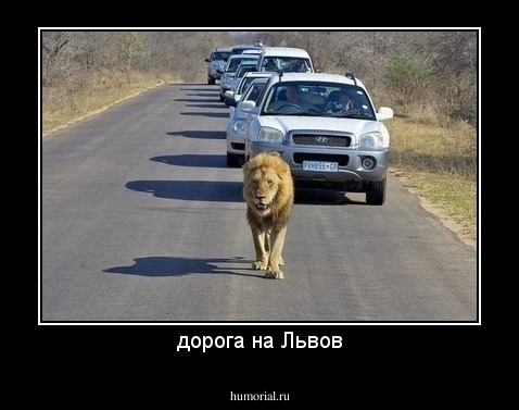 дорога на Львов