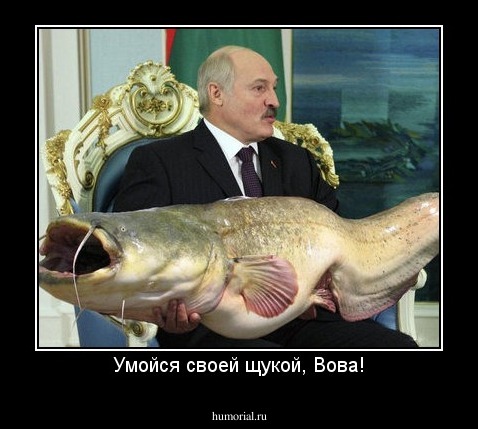 Умойся своей щукой, Вова!