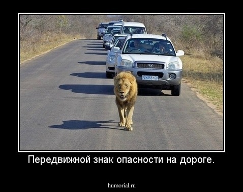 Передвижной знак опасности на дороге.