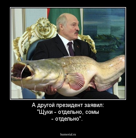 А другой президент заявил: "Щуки - отдельно, сомы - отдельно".