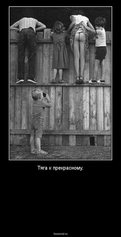Тяга к прекрасному.







