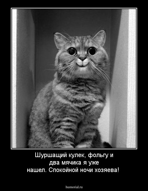 Шуршащий кулек, фольгу и два мячика я уже нашел. Спокойной ночи хозяева!  