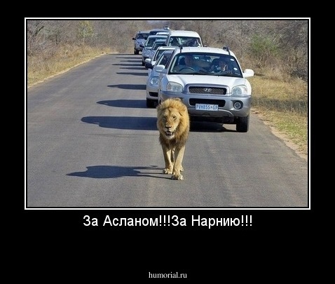 За Асланом!!!За Нарнию!!!
