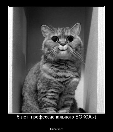 5 лет  профессионального БОКСА;-)
