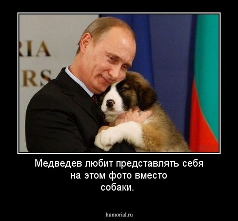 Медведев любит представлять себя на этом фото вместо собаки.