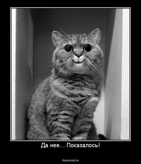 Да нее... Показалось!