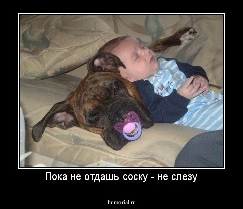 Пока не отдашь соску - не слезу