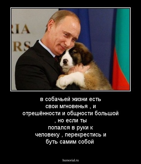 в собачьей жизни есть свои мгновенья , и отрешённости и общности большой , но если ты попался в руки к человеку , перекрестись и буть самим собой