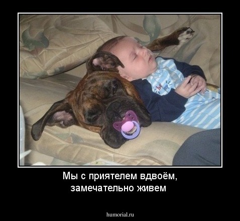 Мы с приятелем вдвоём, замечательно живем