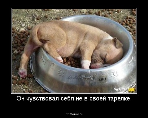 Он чувствовал себя не в своей тарелке.