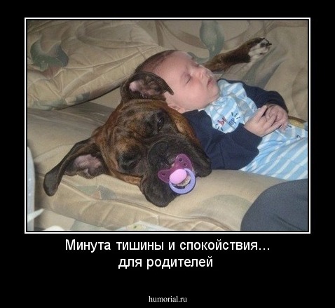 Минута тишины и спокойствия... для родителей 