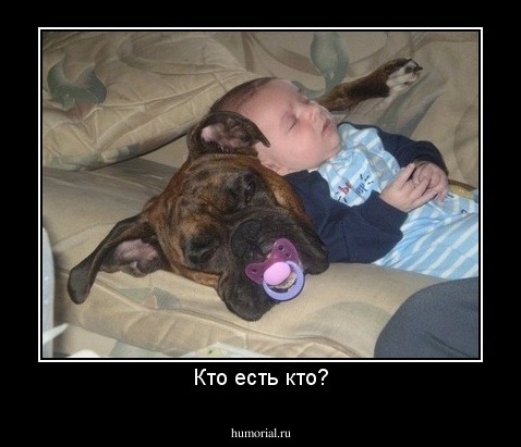 Кто есть кто?