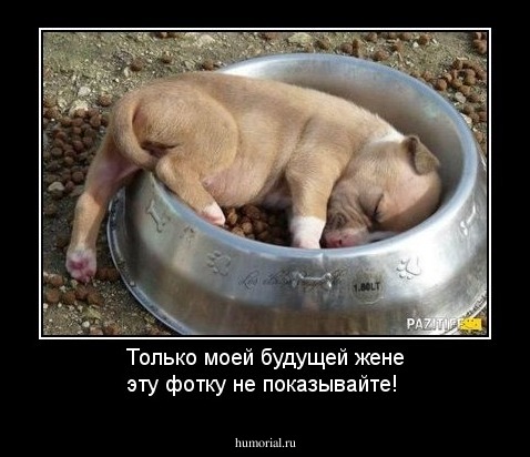 Только моей будущей жене эту фотку не показывайте!