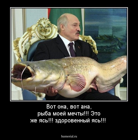 Вот она, вот ана, рыба моей мечты!!!
Это же ясь!!! здоровенный ясь!!!