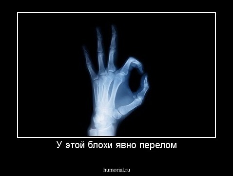 У этой блохи явно перелом