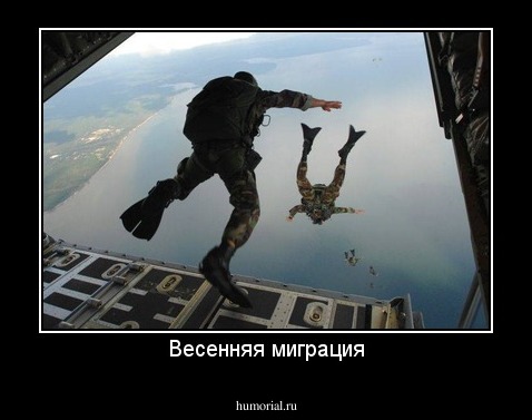 Весенняя миграция