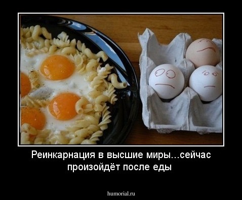 Реинкарнация в высшие миры...сейчас произойдёт после еды