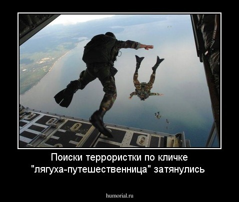 Поиски террористки по кличке "лягуха-путешественница"   затянулись