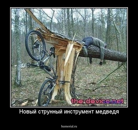 Новый струнный инструмент медведя