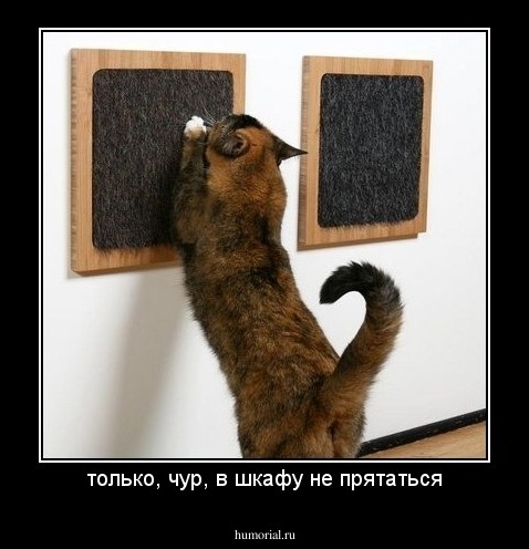 только, чур, в шкафу не прятаться